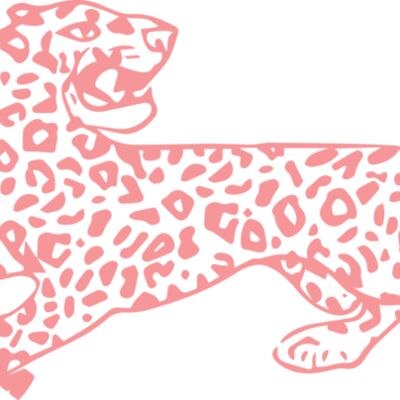 TIGRE ROSA Miniatura